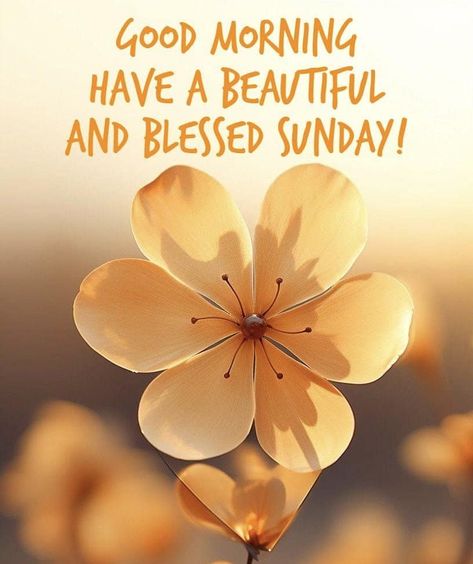 Happy Sunday morning, my beautiful friends and family! 🌞 I hope today brings you peace, joy, and plenty of smiles. Take a moment to soak in the little blessings around you—whether it's that first sip of coffee, the laughter of loved ones, or just the warmth of a quiet moment. Remember, Sundays are for recharging our hearts and minds. Let’s make it a day filled with gratitude, love, and light! Sending you all a big hug and a reminder: you are loved, you are blessed, and you are never alone.... Happy Blessed Sunday, Sunday Morning Blessings, Sunday Blessings Quotes, Happy Sunday Morning, Sunday Greetings, Sunday Blessings, Blessed Sunday, Big Hug, Blessed Quotes