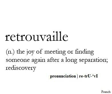 Definition of Retrouvaille: the joy of meeting or finding someone again after a long separation; rediscovery. Quotes Distance, Distance Love Quotes, Distance Relationship Quotes, Unique Words Definitions, Relationship Quotes For Him, Uncommon Words, Fancy Words, Weird Words, Unusual Words