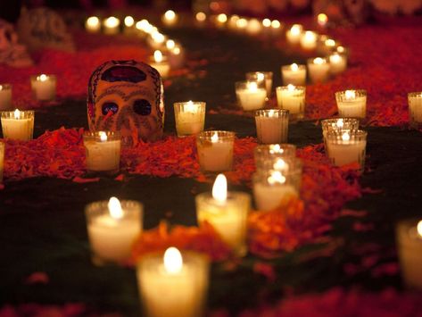 ¡Una vez más las experiencias onlide de Aibnb traen increíbles eventos con temática del Día de Muertos y también un Halloween con Alice Cooper! Skelita Calaveras, Mexico Day Of The Dead, Day Of The Dead Party, Sugar Skull Girl, Mexican Sugar Skull, The Black Cauldron, Catty Noir, Día De Muertos, Samhain