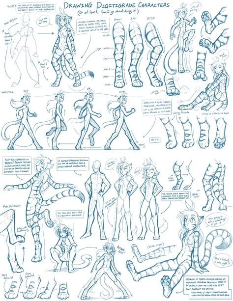 Tkturials - Digitigrade Legs Guide by Twokinds on deviantART Feline Legs Reference, Anthropomorphic Legs Reference, Drawing Animal Legs, Digigrade Legs Drawing Poses, Wolf Side View Drawing, Digitrade Legs Drawing, Twokinds Flora, Digitigrade Legs Drawing Reference, Digigrade Legs Drawing Reference