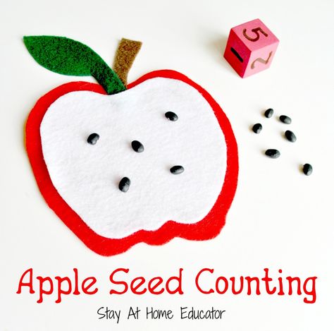 Apple Seed Counting: A One to One Correspondence Activity Apple Seed Counting, Preschool Apple Theme, Fall Math Activities, One To One Correspondence, Apple Lessons, Apple Math, Number Practice, September Activities, Apple Preschool