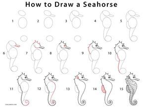 How to Draw a Seahorse (Step by Step Pictures) | Cool2bKids Draw A Seahorse, Seahorse Cartoon, Seahorse Drawing, Seahorse Painting, Rose Step By Step, Seahorse Art, Realistic Rose, Horse Dressage, Tangle Art