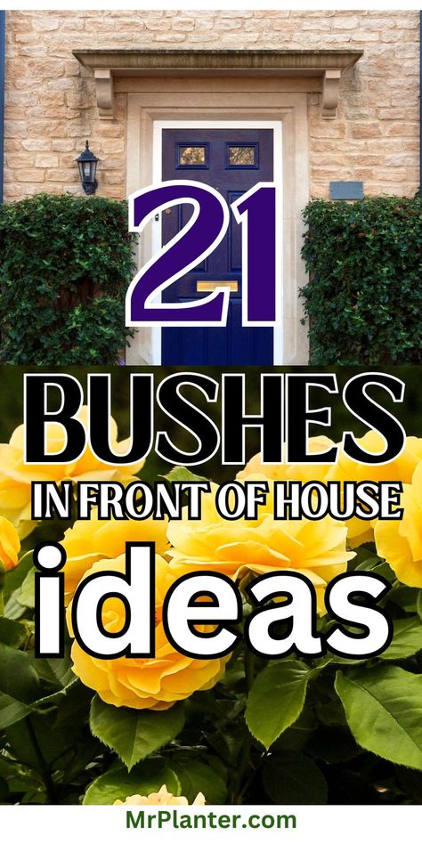 Low maintenance bushes in front of house layouts for easy care Small Bushes In Front Of House, Best Shrubs For Front Of House, Shrubs In Front Of House, Landscaping Front Of House, Bushes In Front Of House, Orange Brick Houses, House Finishes, Garden Front Of House, Bushes And Shrubs