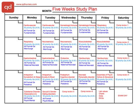 2 Study Plans You Need to Pass the NCLEX | QD Nurses Nclex Study Schedule, Study Plan Template, Study Schedule Template, Nclex Study Plan, Nursing Study Tips, Nclex Study Guide, Nclex Prep, Nursing Study Guide, Nclex Exam