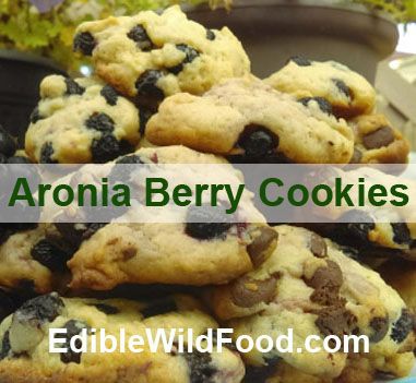 Chokeberry Recipes, Herbs For Happiness, Aronia Berry Recipes, Chokecherry Syrup, Berry Benefits, Aronia Melanocarpa, Aronia Berry, Benefits Of Berries, Berry Cookies