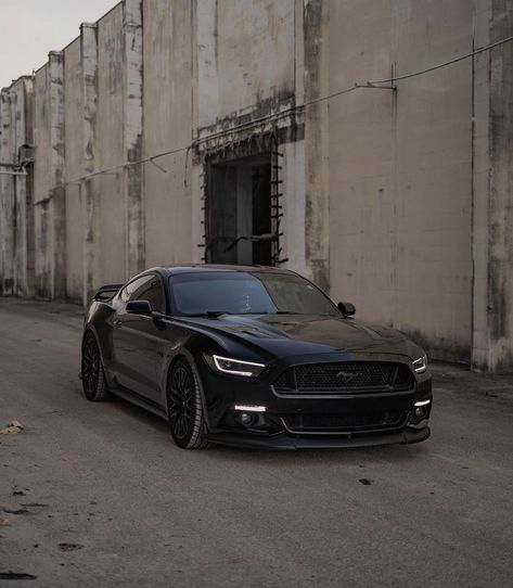 Black Ford Mustang Gt, Mustang 2024 Black, 5.0 Mustang, All Black Mustang, Mustang Gt500 Black, Blacked Out Mustang, Black Mustang Car, Matte Black Mustang, 2020 Mustang Gt