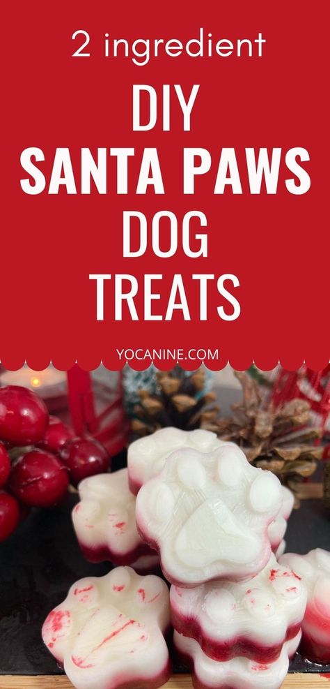 These dog treat recipes Christmas are perfect dog treats homemade frozen for the holiday season. No bake dog treats, dog treats christmas gifts, dog treat recipes frozen, diy dog treats easy, dog treat recipes for silicone molds #dogchristmas #frozendogtreats #dogtreatrecipes #dogmom #yocanine Christmas Dog Treats Homemade, Homemade Christmas Dog Treats, Diy Dog Treats Easy, Dog Treats Christmas, No Bake Dog Treats, Holiday Dog Treats, Frozen Diy, Animal Treats, Pet Treats Recipes