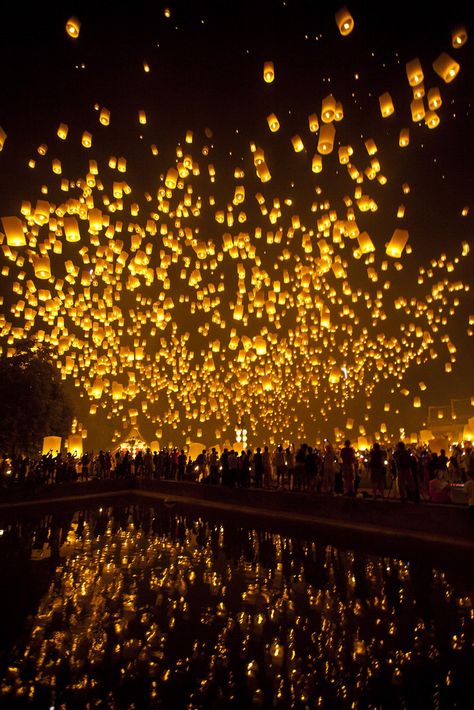 Lanterns, Reflected, Thailand Chiang Mai Thailand Lantern Festival, Latern Festival In Thailand, Lantern Release, Floating Lanterns, Chiangmai Thailand, Sky Lanterns, Flynn Rider, Lantern Festival, Chiang Mai Thailand