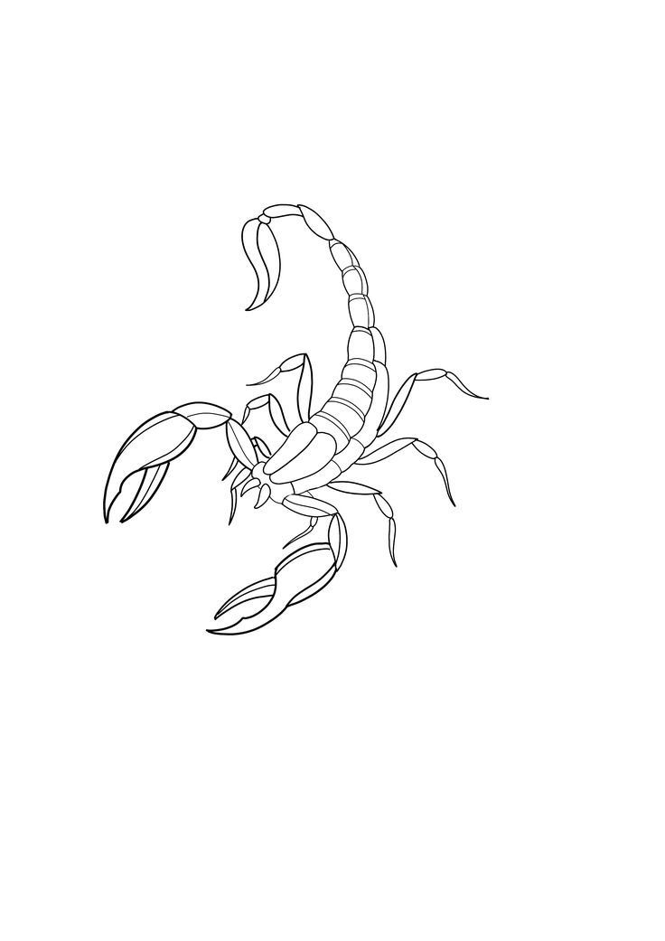 a black and white drawing of a scorpion