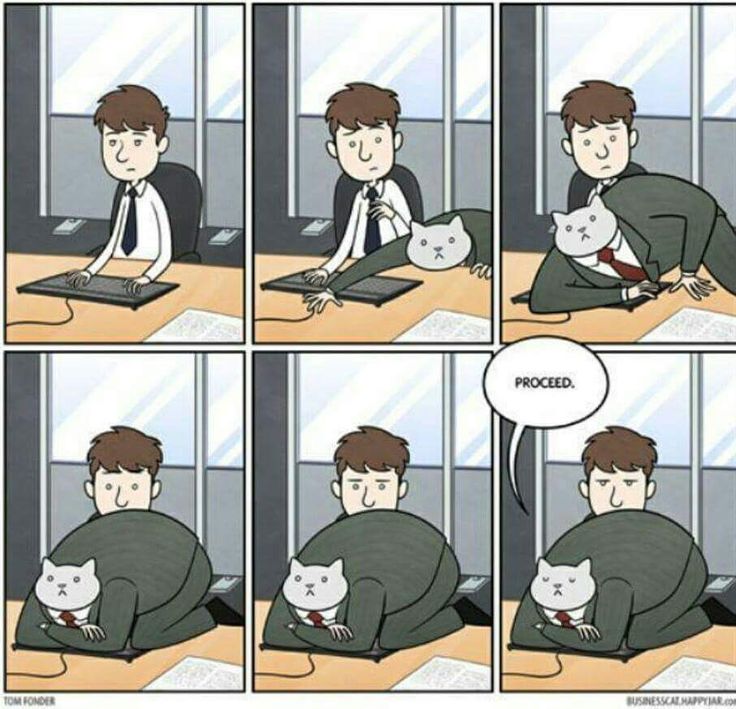 a comic strip with a man sitting at a desk holding a cat