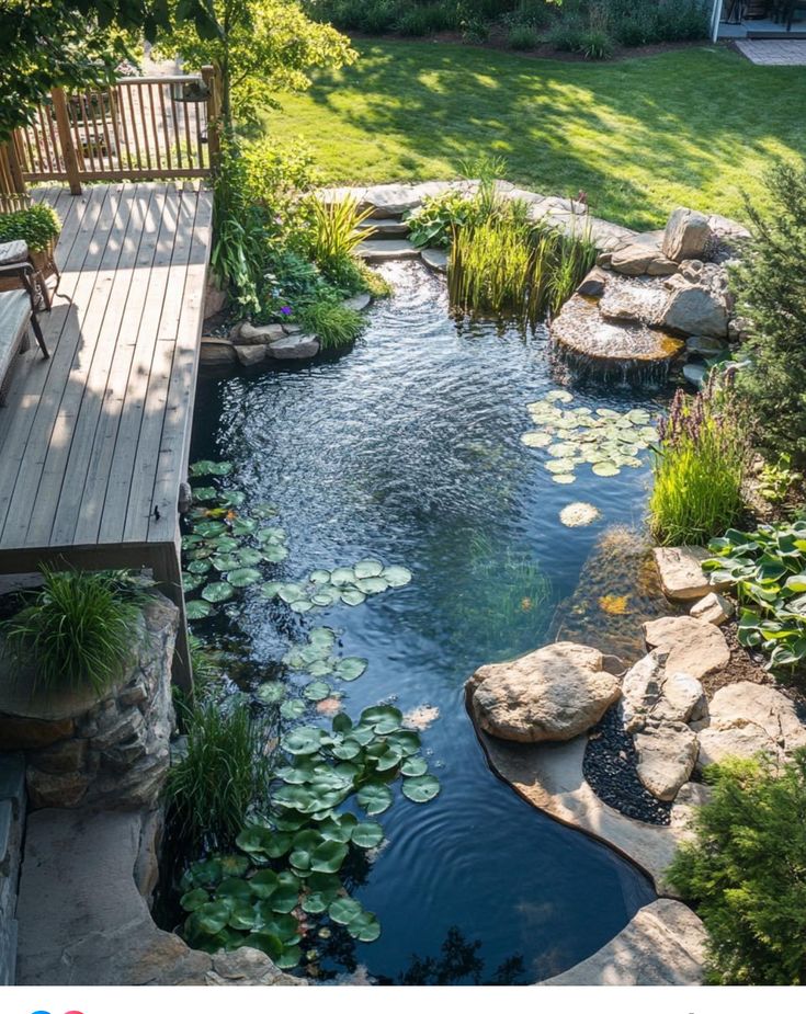 a small pond in the middle of a yard with rocks and water lilies on it