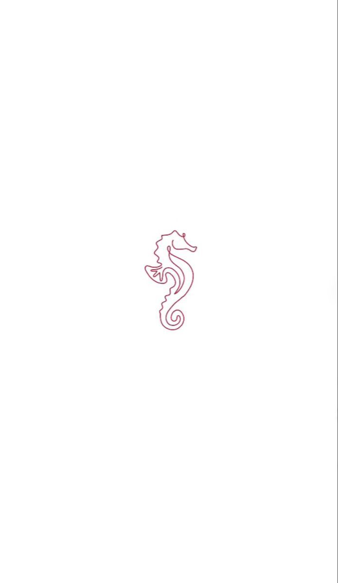 a red line drawing of a seahorse on a white background with the word's name