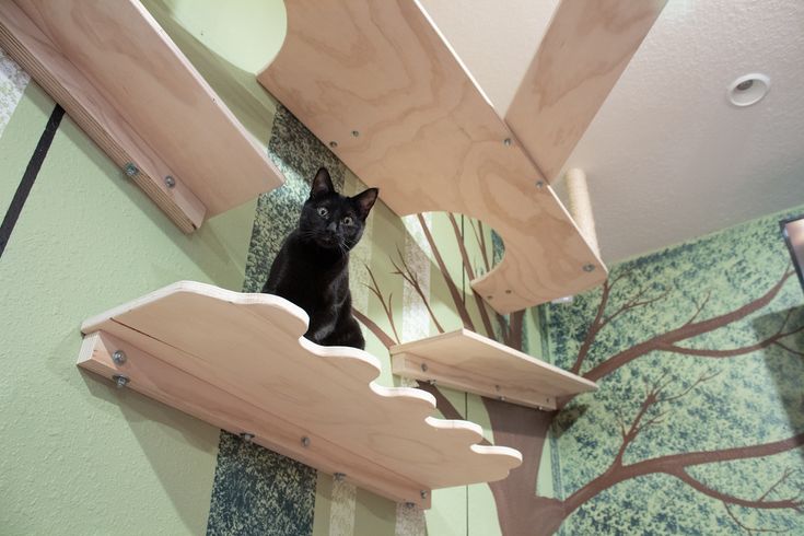 a black cat sitting on top of a wooden shelf