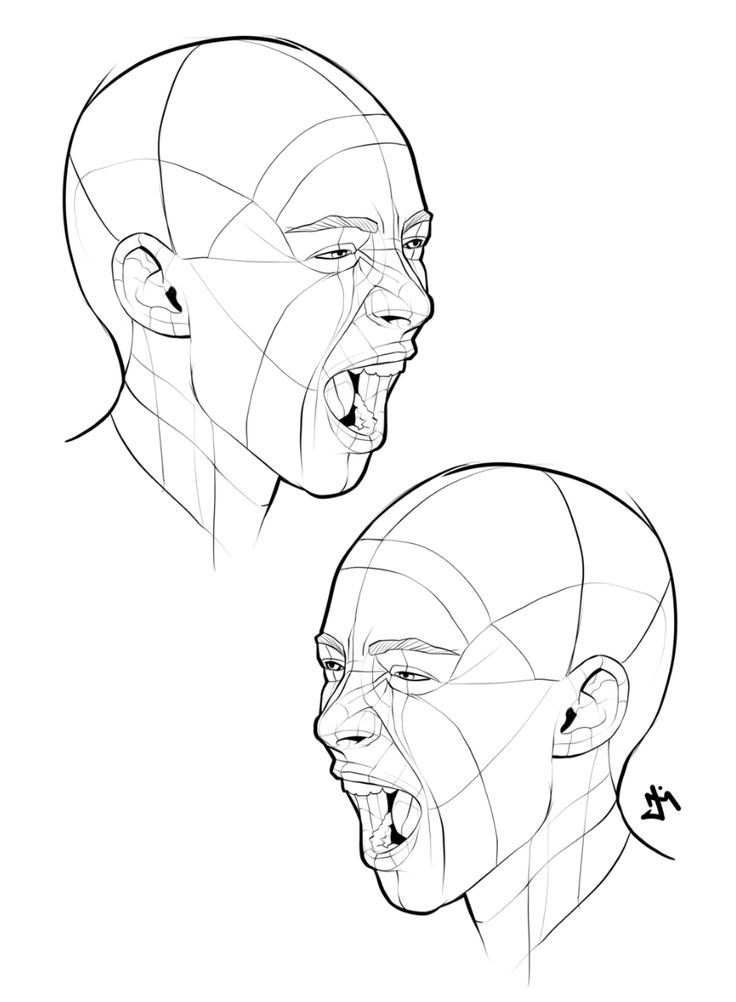 an image of two faces with different angles and lines on the face, one is screaming