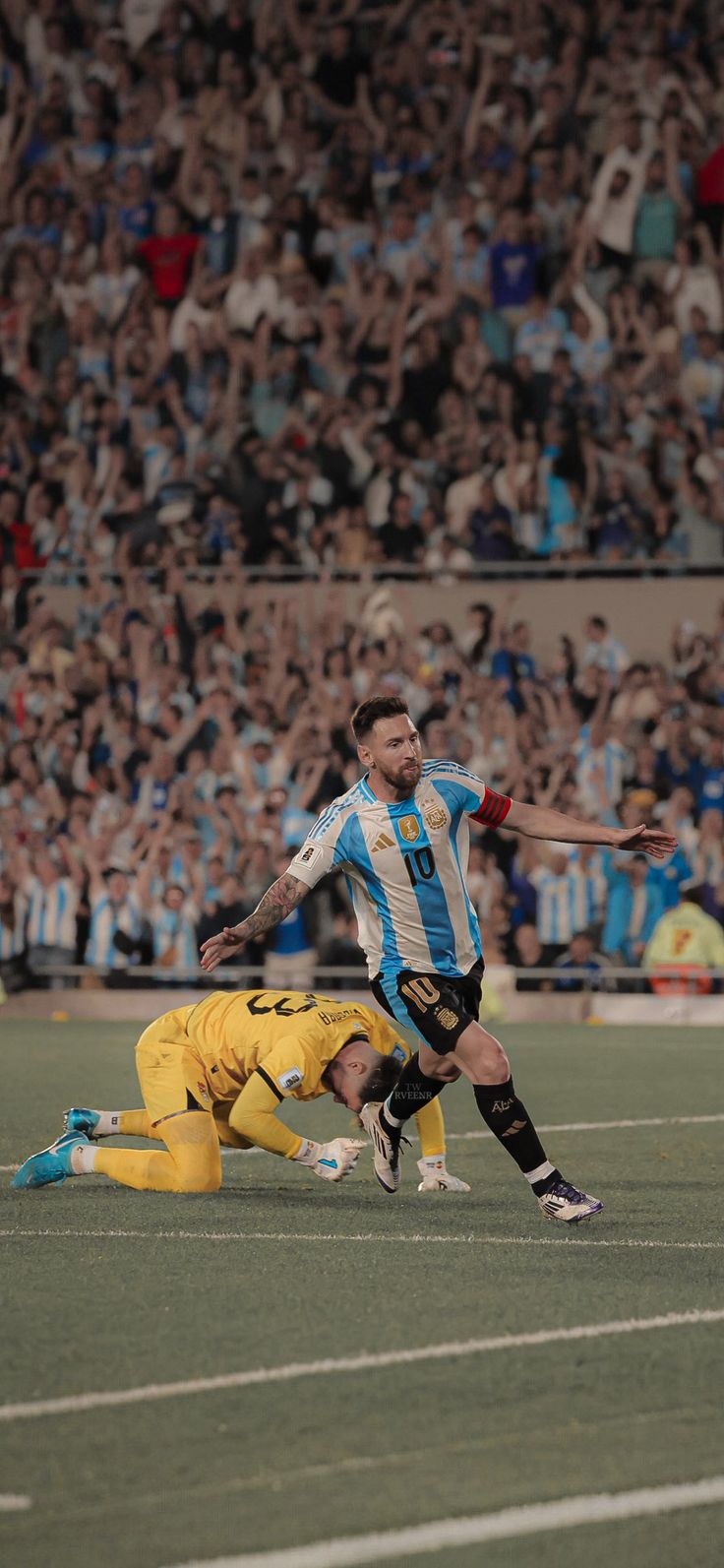 two soccer players collide on the ground during a game with fans in the stands