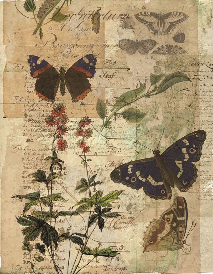 butterflies and flowers are on top of an old piece of paper that has been altered