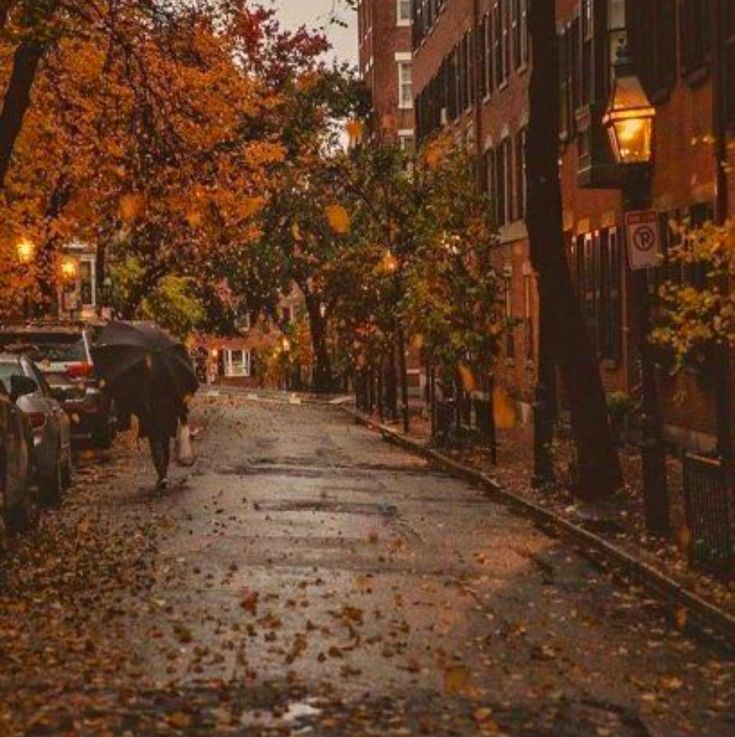 a person with an umbrella walking down a street in the rain near parked cars and buildings