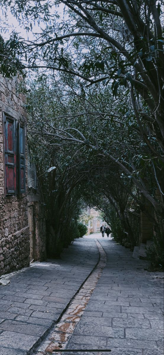 an alley way with trees on both sides