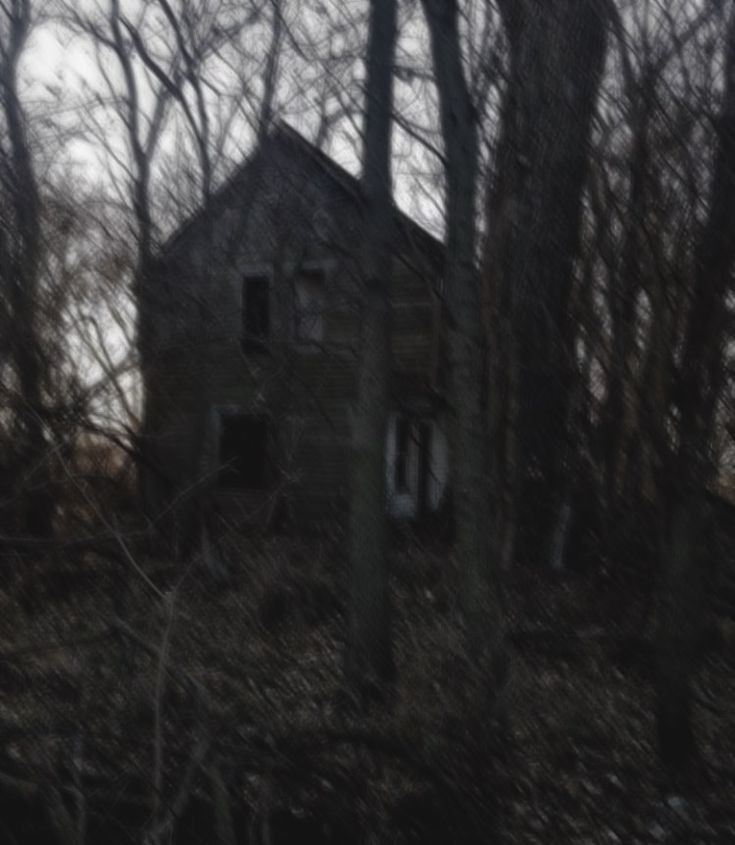 an old abandoned house in the woods with no leaves on it's roof and windows