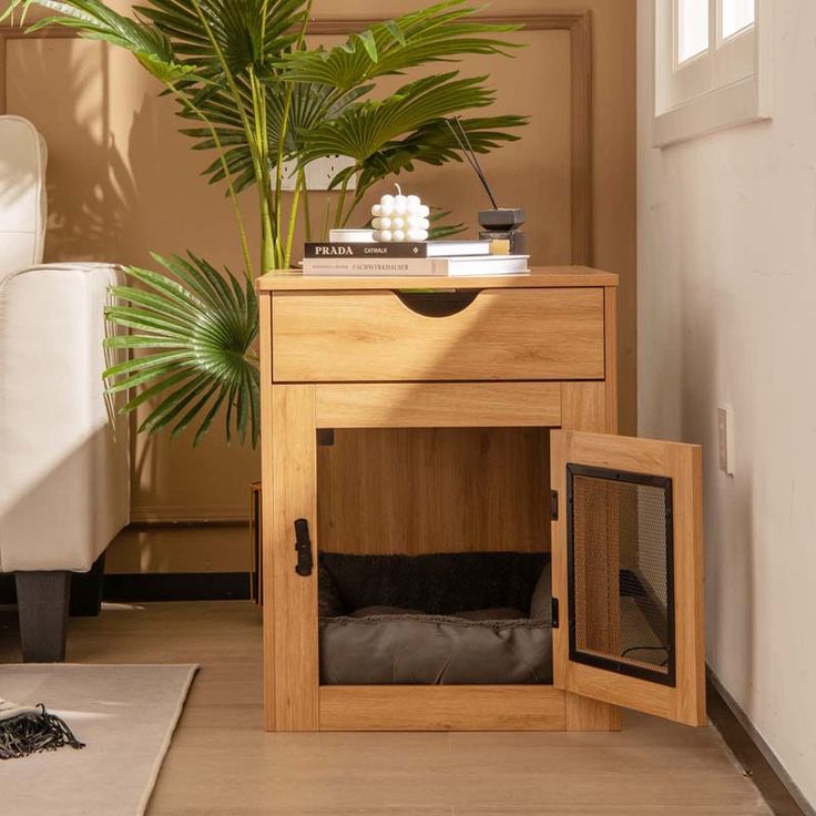 a dog house with a plant in the corner next to it and a cat bed