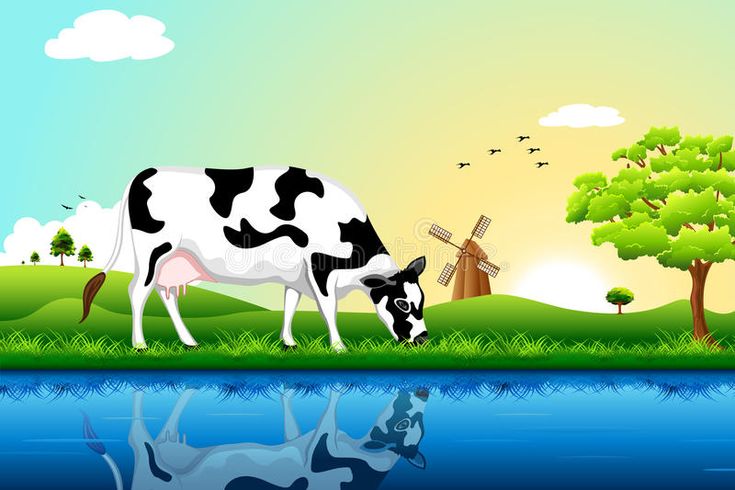 a black and white cow is grazing in the grass by the river with windmills