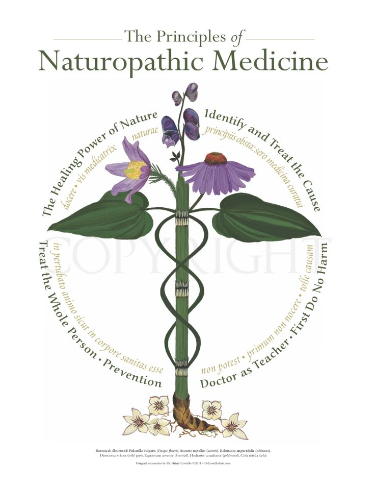 Naturopathic Principles | Botanical Caduceus – Hilary Costello Art Naturopath Clinic, Naturopathic Clinic, Alternative Medicine Holistic Healing, Homeopathy Remedies, Naturopathic Medicine, Medicine Book, Herbal Healing, Integrative Medicine, Holistic Beauty