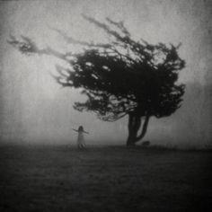 black and white photograph of a person walking in the rain with an umbrella under a tree