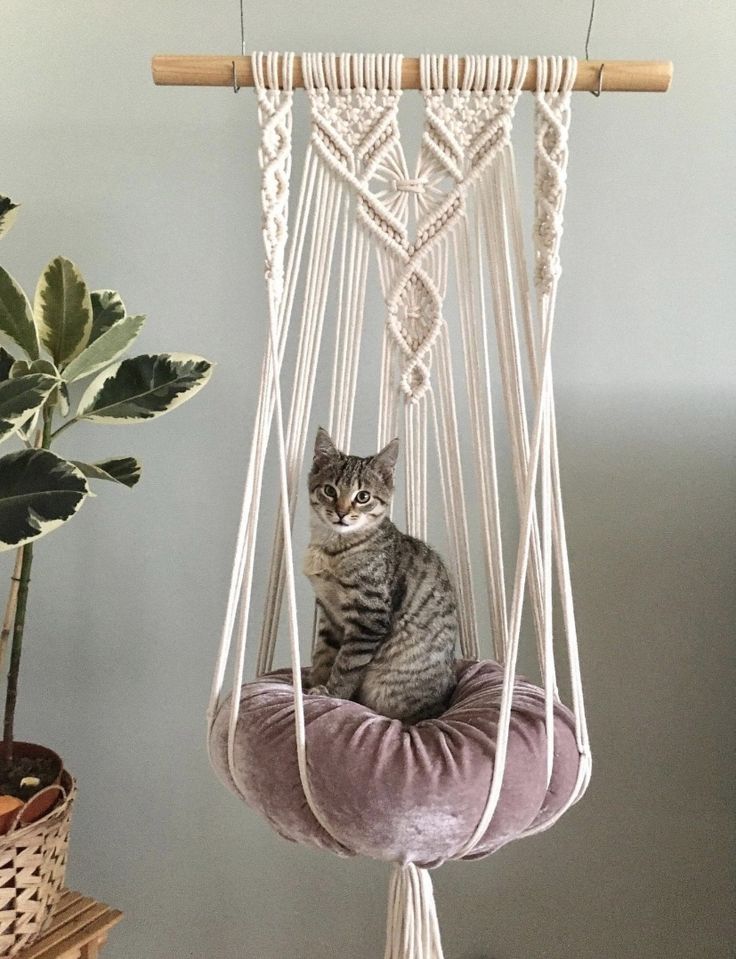 a cat is sitting in a hammock hanging from a wooden pole next to a potted plant