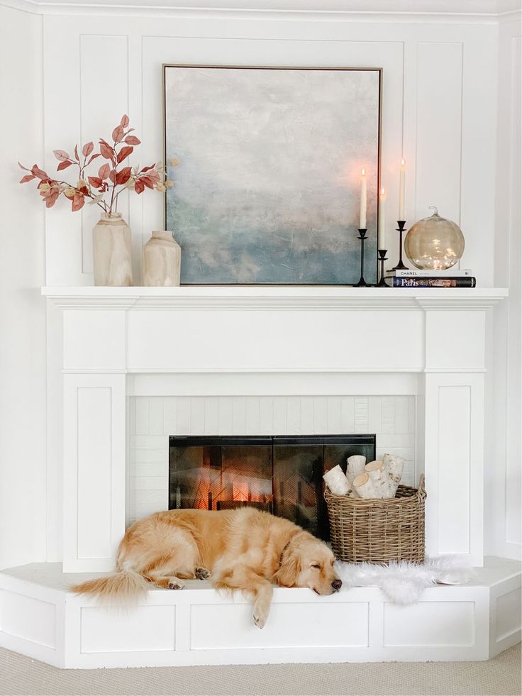 a dog is laying on the fireplace mantle