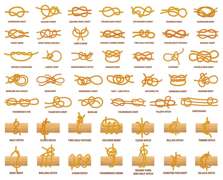 an image of different types of knots