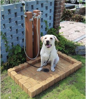 a white dog sitting in the grass next to a water fountain with a hose attached