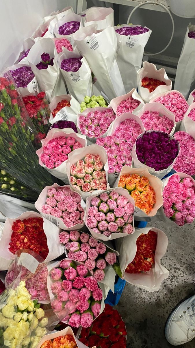 a bunch of flowers that are sitting on the ground