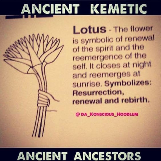 an ancient kemetic poem with the caption lotus - the flower is symbol of the spirit and the reference of the self