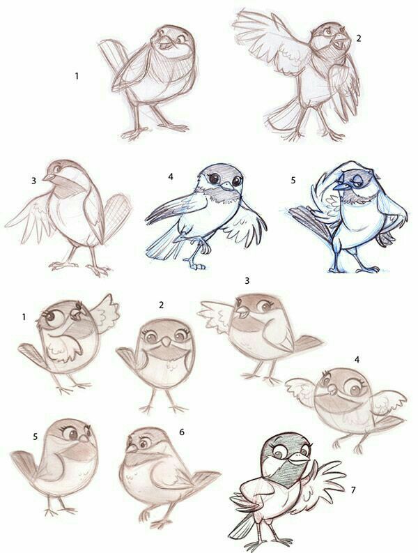 some birds that are drawn in different ways