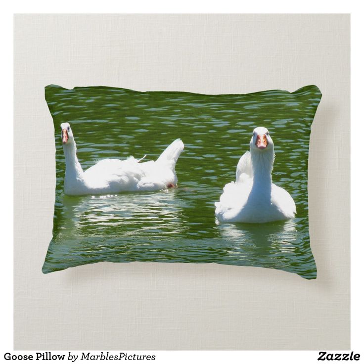 two white ducks floating on top of a body of water