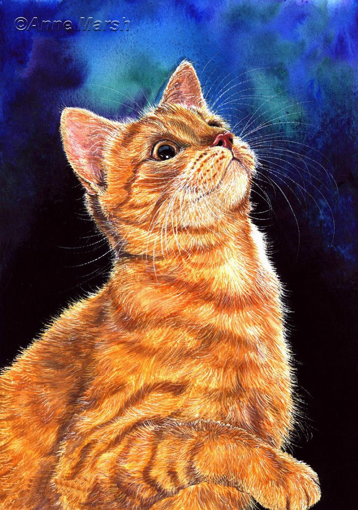 an orange tabby cat looking up at the sky with its paw on it's chin