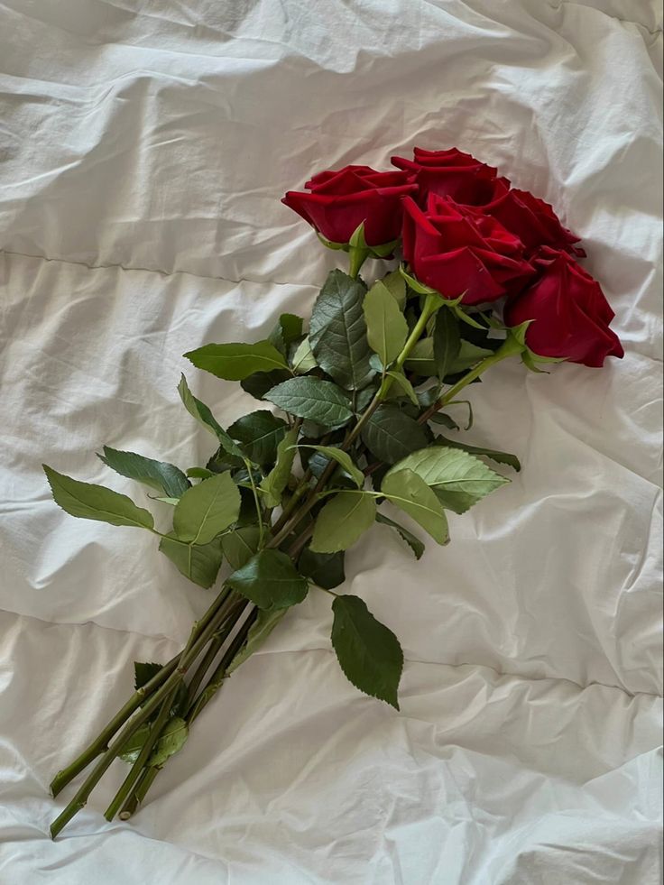 two red roses are laying on a white sheet