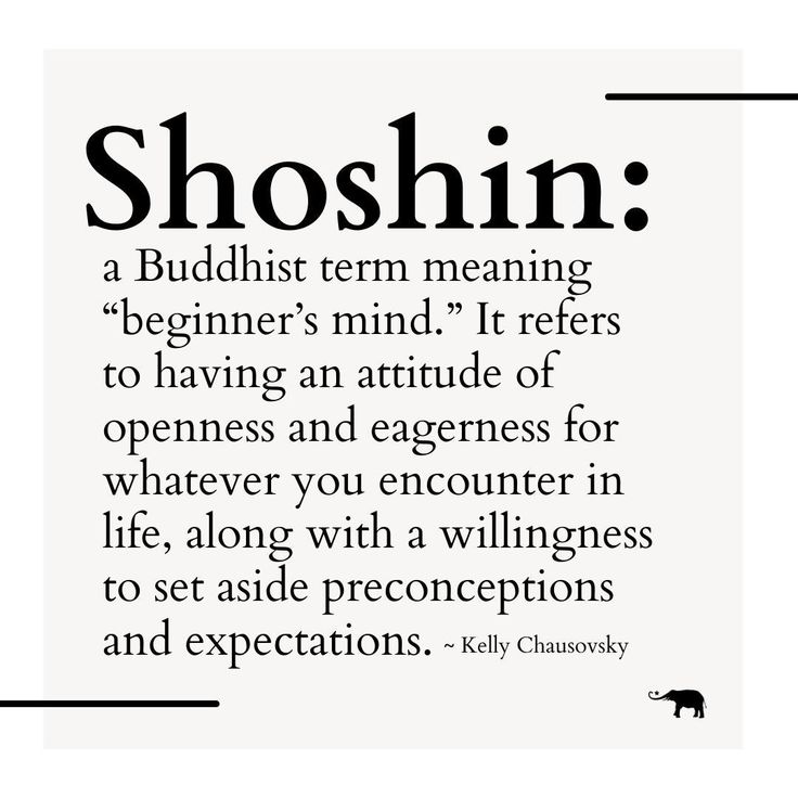 a quote with the words shoshin in black and white, on a white background