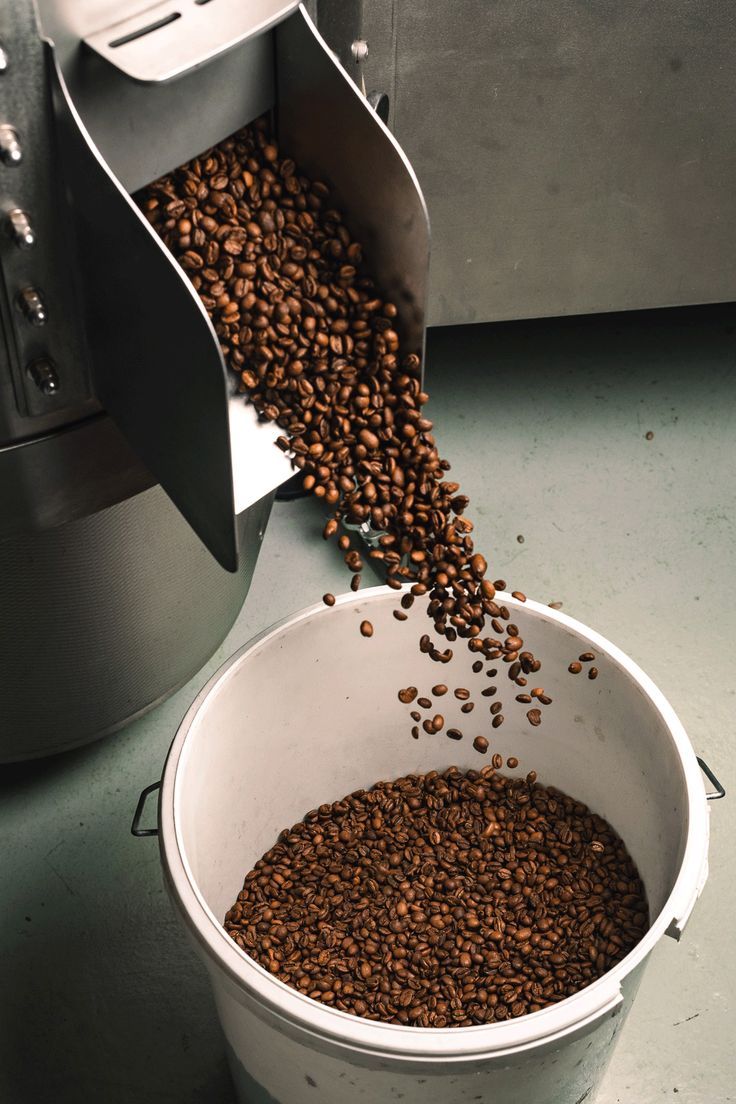 a bucket full of coffee beans being processed