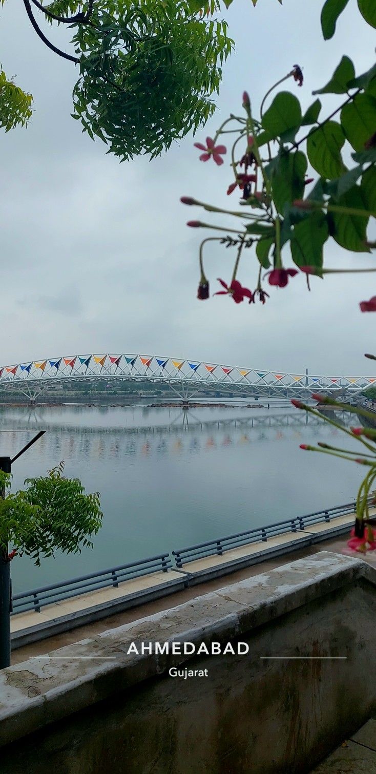 a view of a bridge over a river with lots of flowers in the foreground