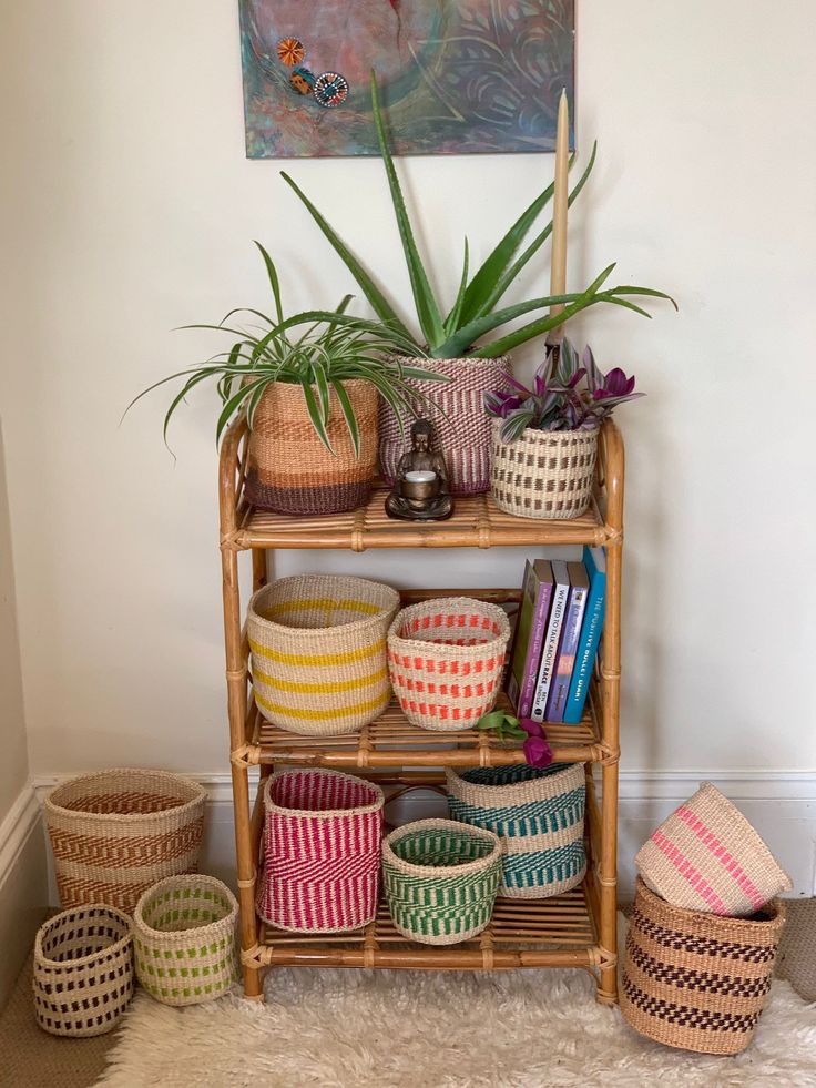 a shelf filled with baskets and plants next to a painting