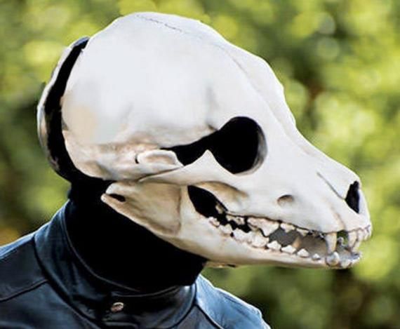 This Articulated Canine Skull Mask is just one of the custom, handmade pieces you'll find in our masks shops. Animal Skull Mask, Canine Skull, Skull Aesthetic, Skull Masks, Scarecrow Mask, Skull Animal, Animal Mask, Animal Skull, Vulture Culture