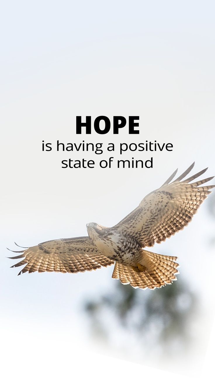 a bird flying through the air with a quote above it that reads, hope is having a positive state of mind