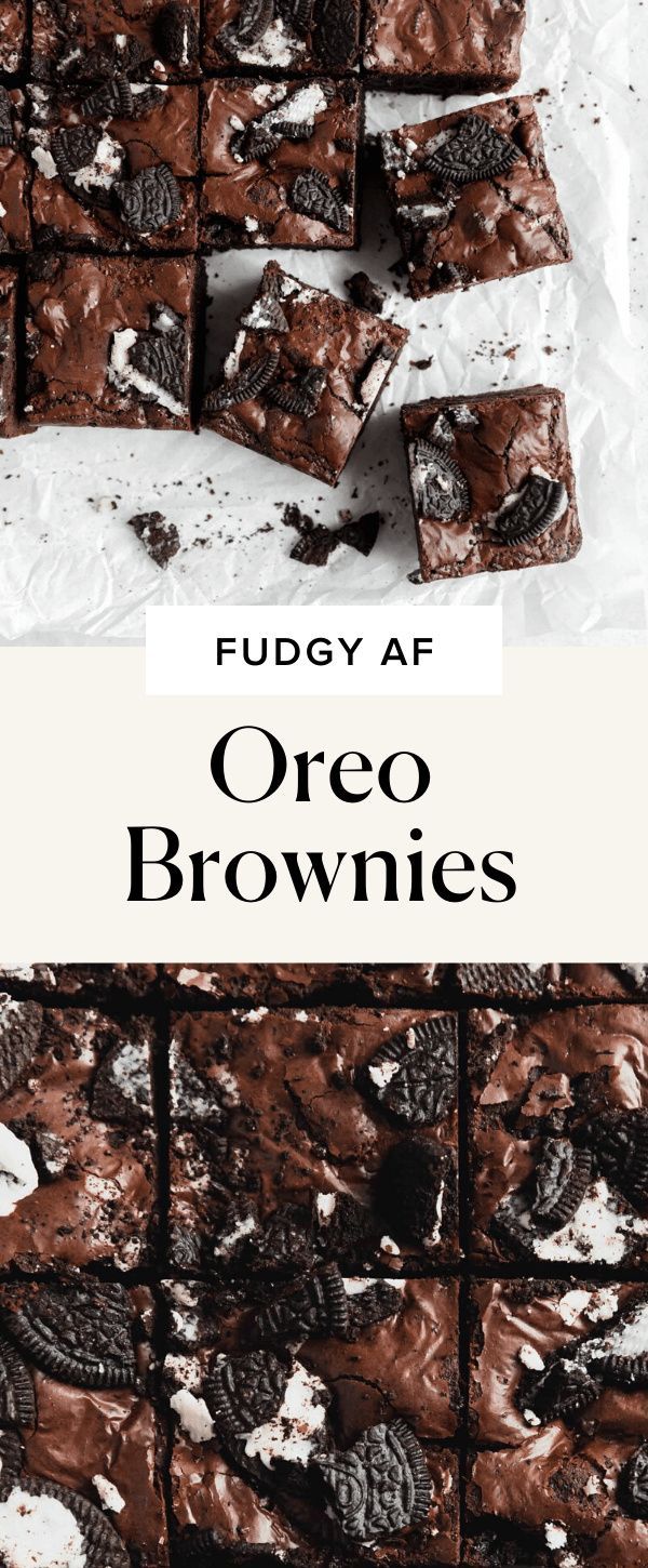 fudgy af oreo brownies with chocolate chips on top