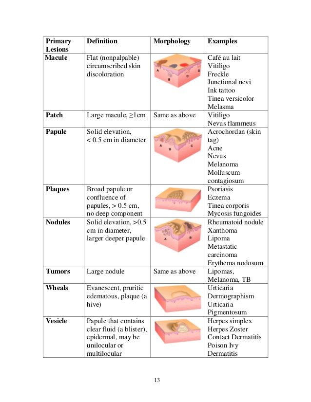 the diagram shows different types of tissues and their functions in each section of the body