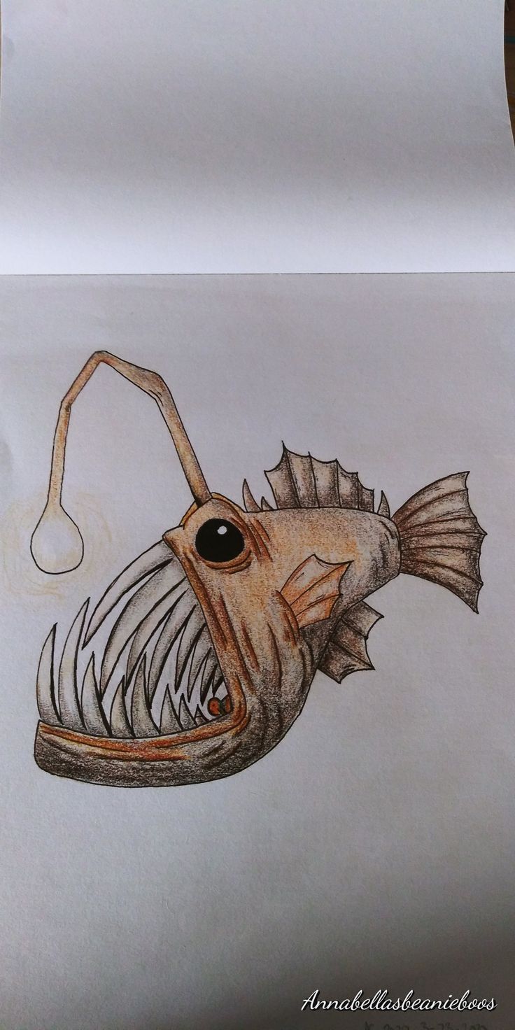 a drawing of a fish with its mouth open and an eye on it's side