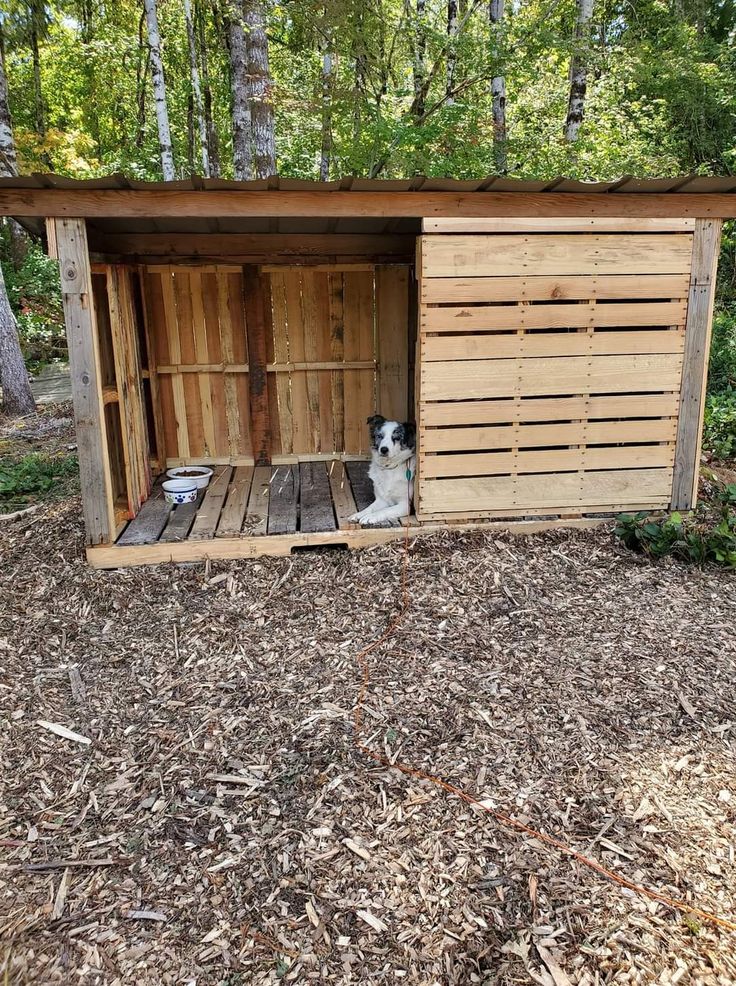 a dog is sitting in a wooden shelter