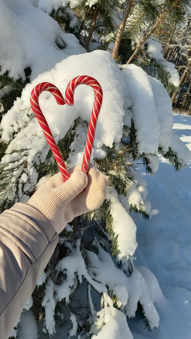 a person holding up a candy cane in the shape of a heart on top of snow covered trees