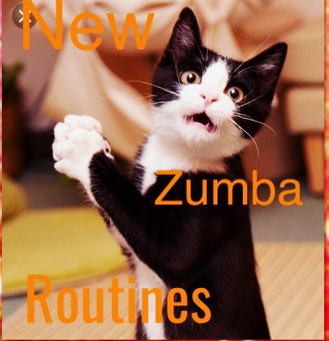 a black and white cat standing on its hind legs with the caption new zumba routines