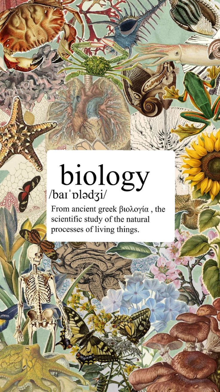 a book cover with an image of plants and animals in the background, which reads biology from ancient greek words, the scientific study of the natural process